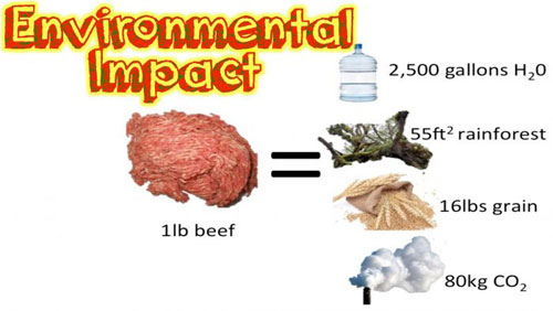 Adopt a Vegan or Vegetarian Diet Environmental Impact