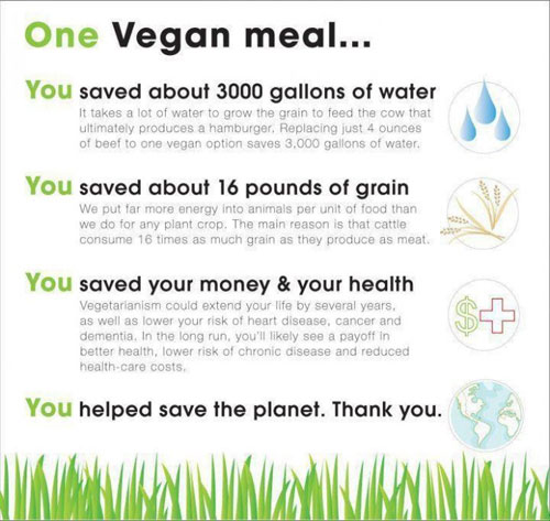 Adopt a Vegan or Vegetarian Diet One Vegan Meal