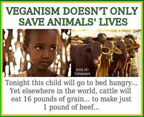 Adopt a Vegan or Vegetarian Diet Veganism Doesn't Only Save Animals Lives