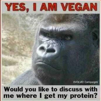 Adopt a Vegan or Vegetarian Diet I Am Vegan