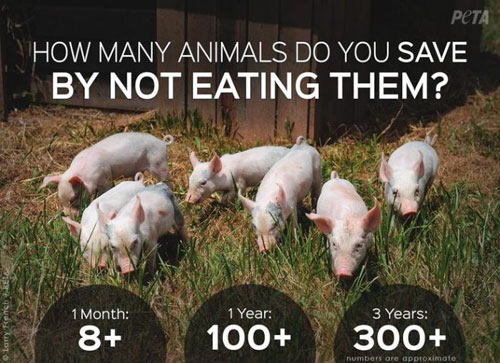 Adopt a Vegan or Vegetarian Diet Saving Animals Statistics