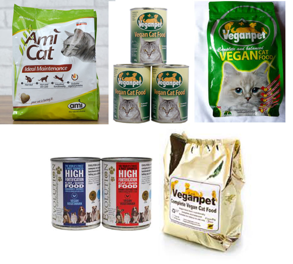 Adopt a Vegan or Vegetarian Diet Various Vegan Cat Food