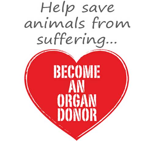 Donate Cells Tissue and Your Body to Help Stop Animal Testing Become an Organ Donor