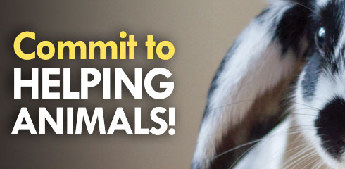 Donate Cells Tissue and Your Body to Help Stop Animal Testing Commit to Helping Animals