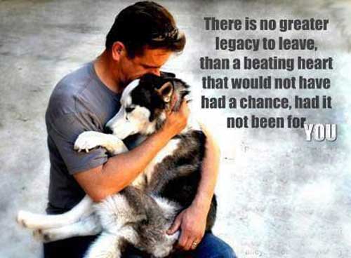 Leave a Legacy to Animal Rescues and Charities in Your Will Bequest a Legacy to an Animal Charity