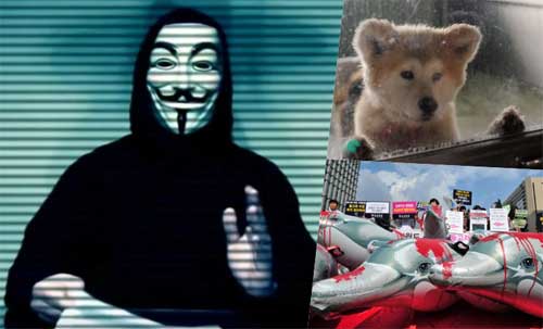 Anonymous Leak Data From- Japan Safari Land Natural Zoo For Animal Rights