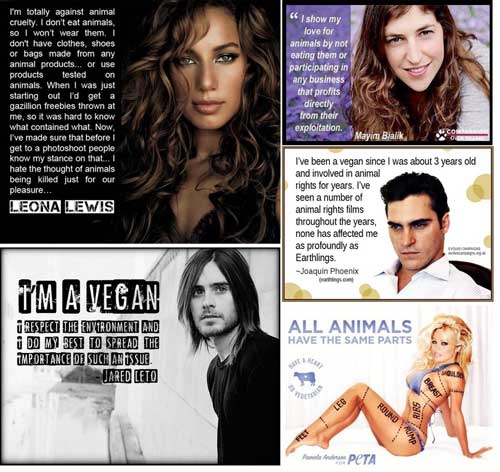 Off and Online Petitions and Campaigns Celebrity Animal Rights Campaigners