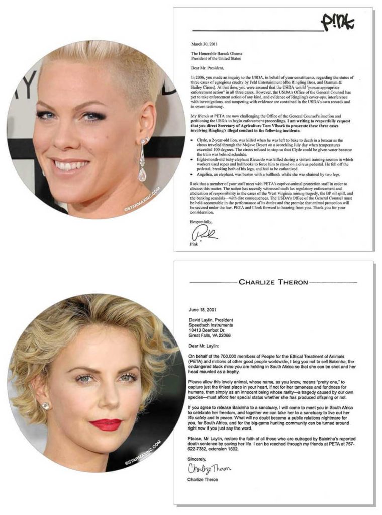 Off and Online Petitions and Campaigns Celebrity Animal Rights Letters Pink and Charlize Theron