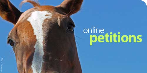 Off and Online Petitions and Campaigns Online Petitions