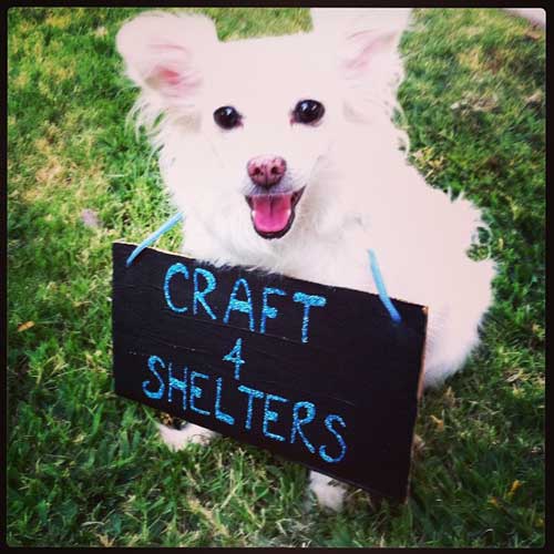 Craft for Shelters