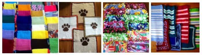 Donate Handmade Blankets to Animal Shelters Through Comfort for Critters