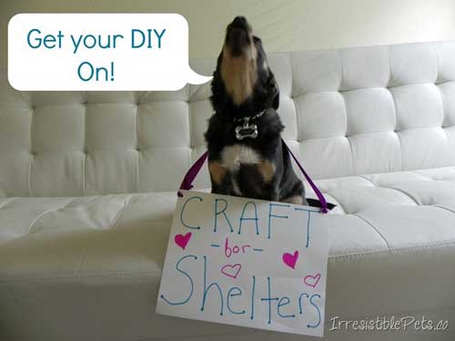 Crafting Ideas to Help Animals Get Your DIY On