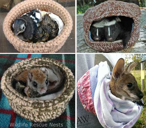 Crafting Ideas to Help Animals Make Life Saving Knitted Rescue Nests and Joey Pouches