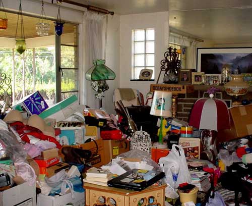 Declutter Your Home and Help Animals Declutter and Help-animals
