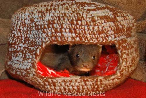 Knitting Ideas to Help Animals Another Design Wildlife Rescue Nests