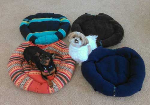 Knitting Ideas to Help Animals DIY Sweatshirt or Sweater Pet Bed