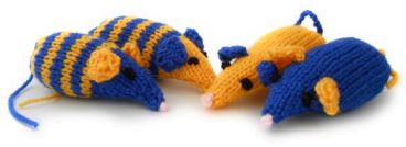 cats protection knitted mice