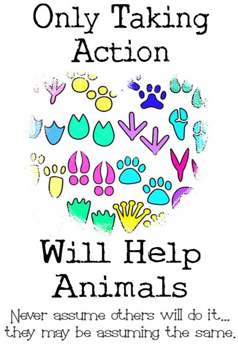 Crochet And Knitting Ideas To Help Animals - Many Ways To Help Animals