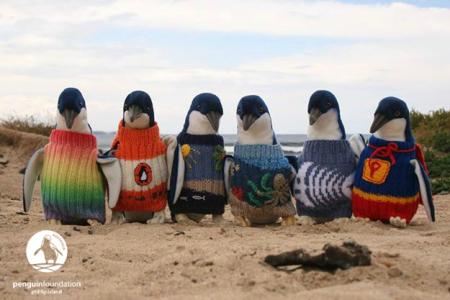 Penguins In Jumpers