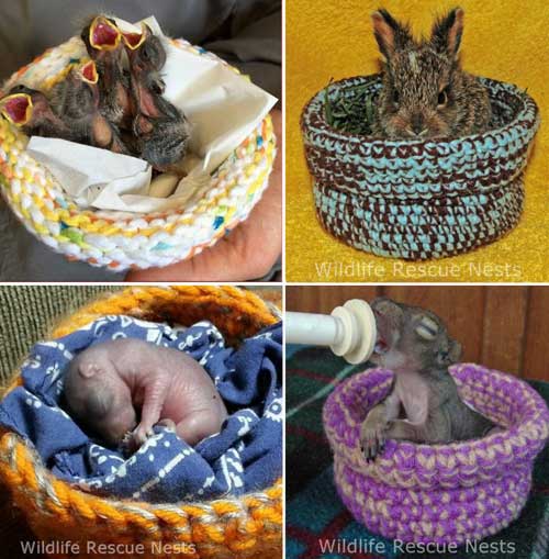 Knitting Ideas to Help Animals Wildlife Rescue Nests Knitted and Crocheted By Volunteers