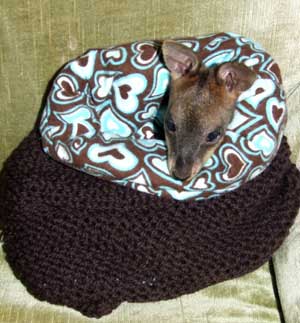 Knitting Ideas to Help Animals Wires Joey Pouch