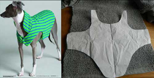 Sewing Ideas For Two Warm and Waterproof Life Saving Dog Coats