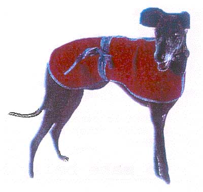 Greyhounds in Need Provide Sewing and Knitting Patterns For Their Dogs