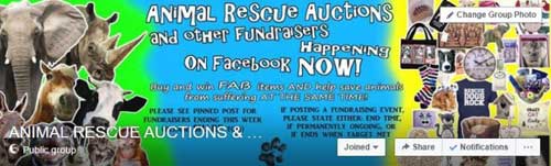 Animal Rescue Auctions