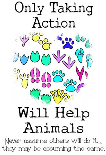 Free Crafting Ideas No Sew Only Taking Action Will Help Animals