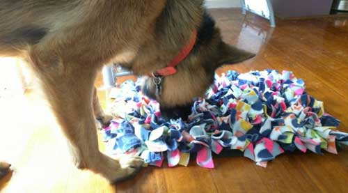 Free Crafting Ideas No Sew Snuggle Mat Helping Animal Rescues and Charities