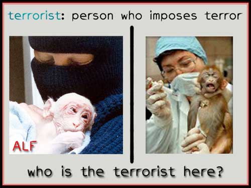 Animal Liberation Front Terrorists or Not ?
