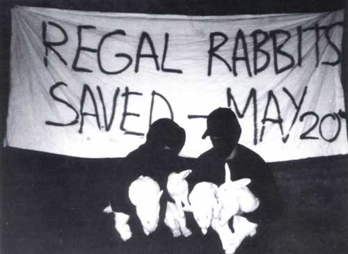 Animal Liberation Front With Rescued Rabbits