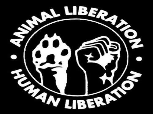 Animal Rights Groups Direct Action Animal Liberation Logo