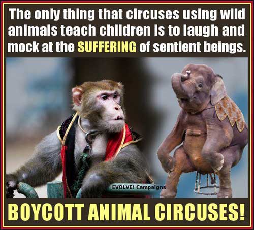 Animal Rights Groups Direct Action Boycott Animal Circuses