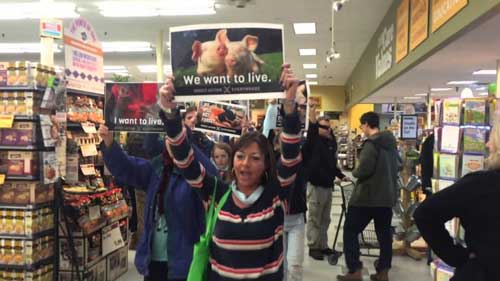 Animal Rights Groups Direct Action Direct Action Everywhere Protest