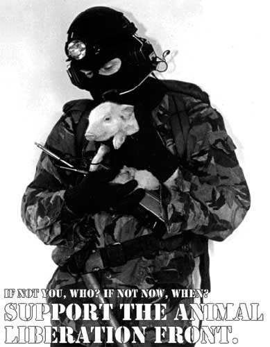 Animal Rights Groups Direct Action Animal Liberation Front Poster