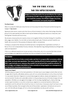 Animal Rights Posters Leaflets Free Badger Cull Leaflet