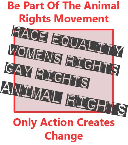 Animal Rights Posters Leaflets Free Be Part of the Animal Rights Movement