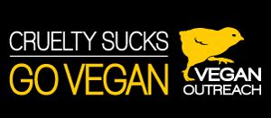 Animal Rights Posters Leaflets Free Vegan Outreach