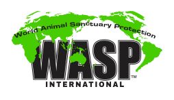 WASP International Logo