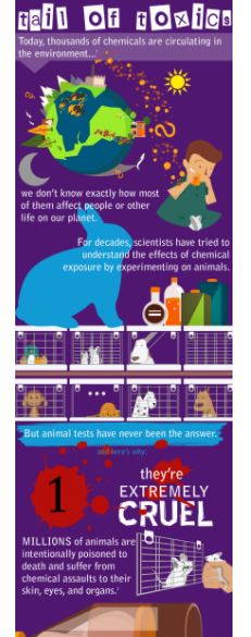 Animal Testing Infograph