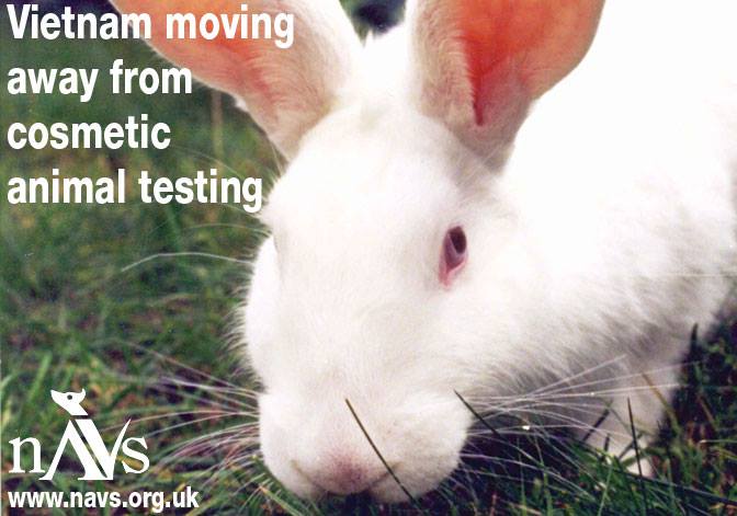 Vietnam Moving Away From Cosmetic Animal Testing