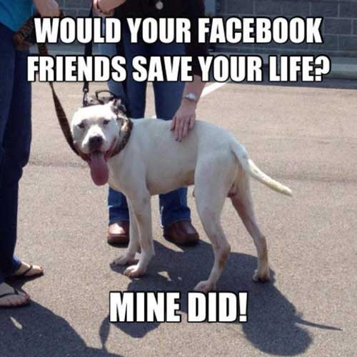 Would Your Facebook Friends Save Your Life