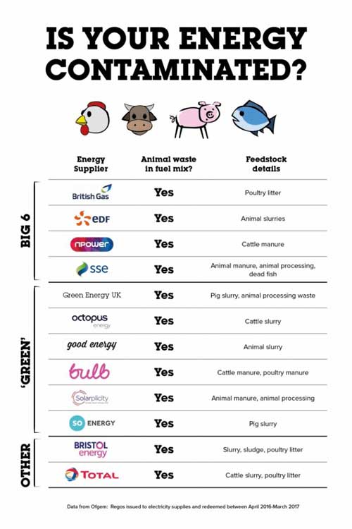 Ethical Shopping Is Your Energy Contaminated ?