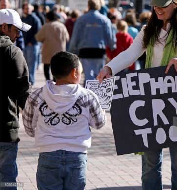 Help Stop Animal Abuse With Protests and Demonstrations Anti Circus Protester Handing Out Leaflets