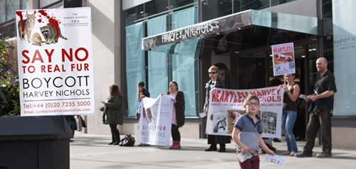 Help Stop Animal Abuse With Protests and Demonstrations Anti Fur Protest Outside Harvey Nicholls