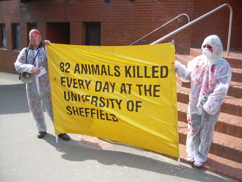 Help Stop Animal Abuse T With Protests and Demonstrations Demonstration Against Animal Experimentation