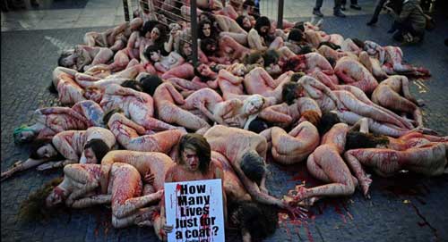 Help Stop Animal Abuse With Protests and Demonstrations PETA Demonstration Against The Fur Industry