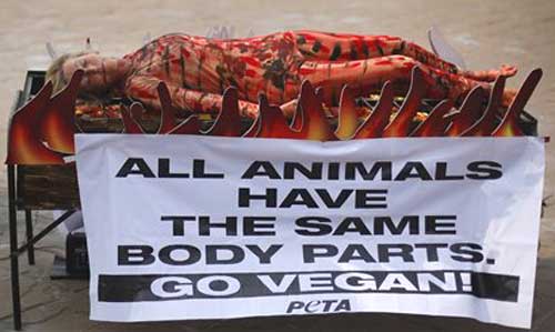 Help Stop Animal Abuse With Protests and Demonstrations PETA Eye Catching Protest Tactics