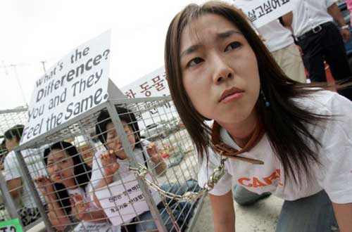 Protests in South Korea Against Eating Dogs